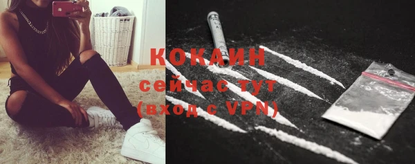 ПСИЛОЦИБИНОВЫЕ ГРИБЫ Новодвинск