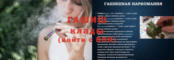 стаф Новокубанск