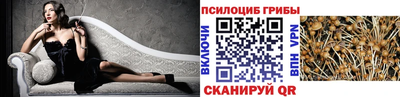 Галлюциногенные грибы GOLDEN TEACHER  Шумерля 
