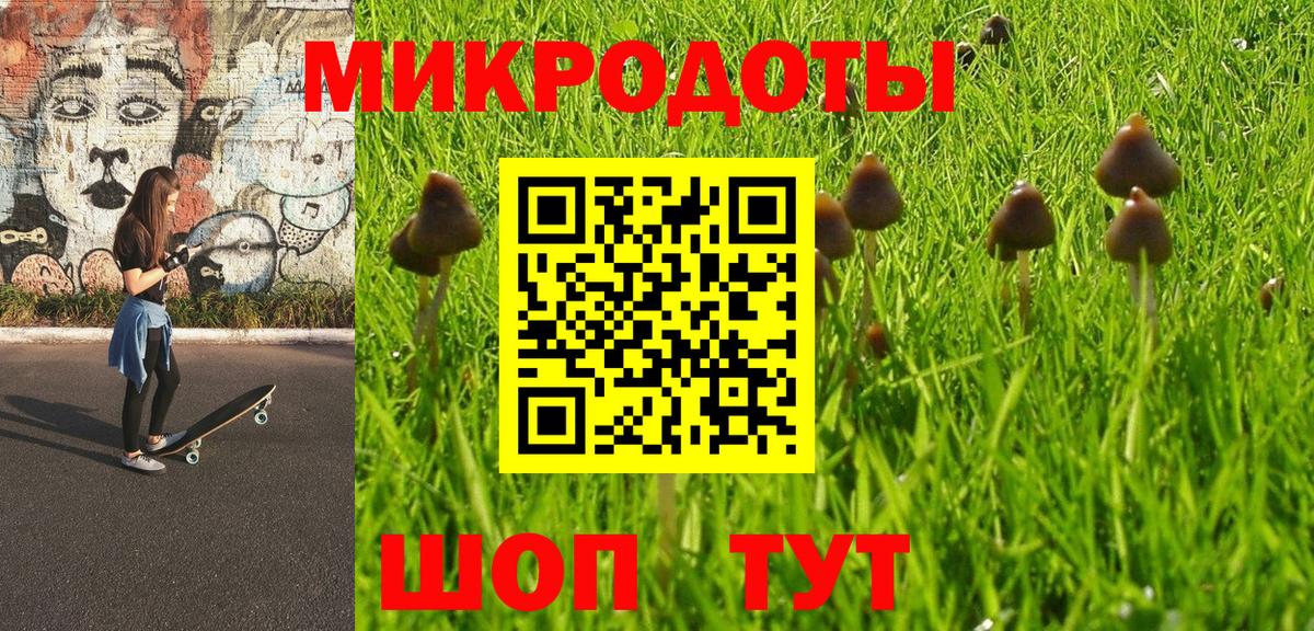 закладки  Галлюциногенные грибы Magic Shrooms  Вход с VPN  Псилоцибиновые грибы ЛСД  Шумерля 