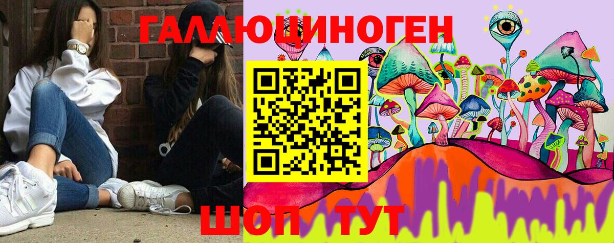 купить наркотик  Шумерля  Галлюциногенные грибы Cubensis 