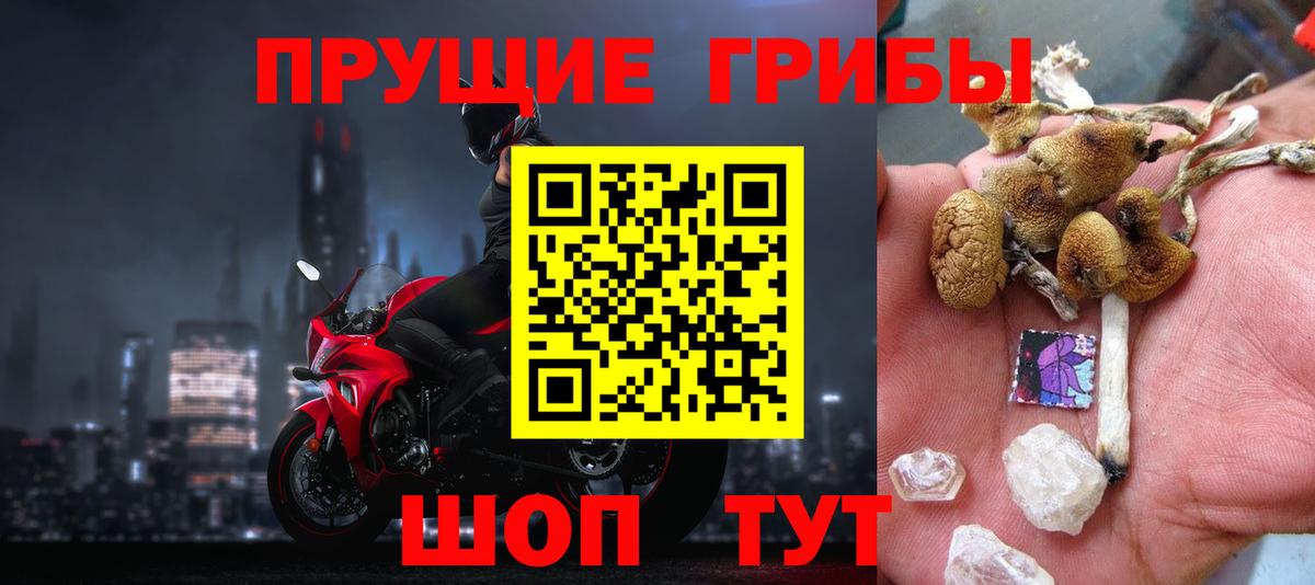 Галлюциногенные грибы Psilocybine cubensis Шумерля